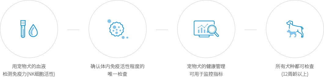 반려견의 혈액으로 면역력(NK세포 활성도) 측정, 체내 면역활성 정도를 확인하는 유일한 검사, 반려견의 건강관리 모니터링 지표로 활용 가능, 모든 견종에서 검사 가능 (12주령 이상)