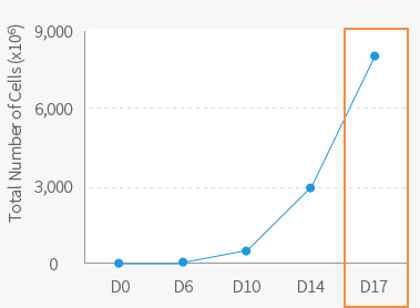 Change in the Number of NK Cells during the culture graph