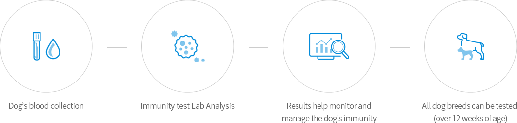 반려견의 혈액으로 면역력(NK세포 활성도) 측정, 체내 면역활성 정도를 확인하는 유일한 검사, 반려견의 건강관리 모니터링 지표로 활용 가능, 모든 견종에서 검사 가능 (12주령 이상)