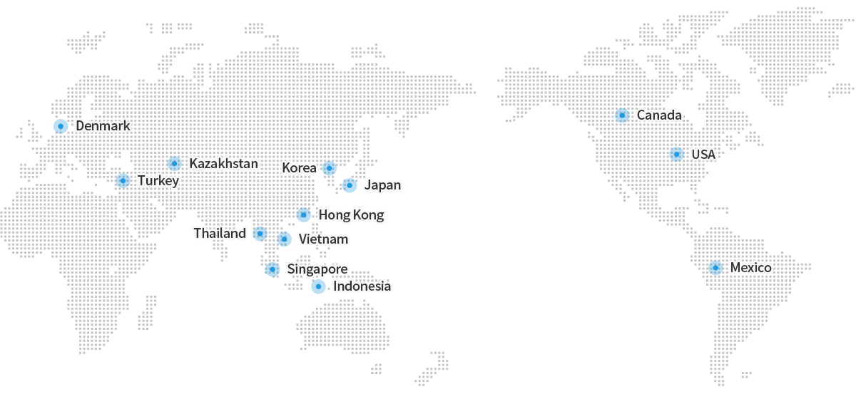 Global Network Map