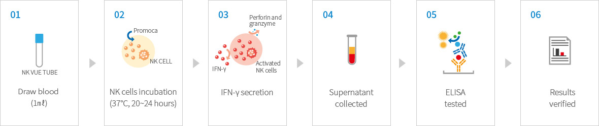 The Principle of NK VUE Diagnosis