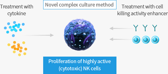 Treatment with cytokine and cell killing activity enhancer - Novel complex culture method (Proliferation of highly active (cytotoxic) NK cells)