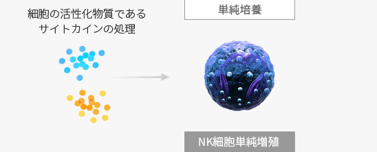 細胞の活性化物質であるサイトカインの処理 - 単純培養(NK細胞単純増殖 )