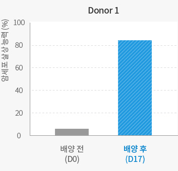 Donor 1 배양 전, 후 암세포 살상 능력 비교 그래프