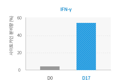 IFN-γ 배양 전, 후 사이토카인 분비량 비교 그래프