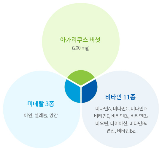 엔케이365펫 이뮨플러스 안의 다양한 영양소들 그래프