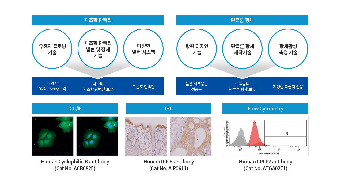 SP 융합기술 개요도