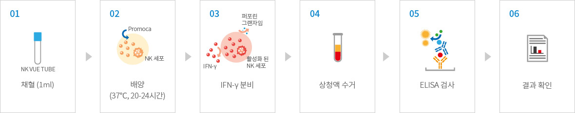 NK Vue® 진단 단계