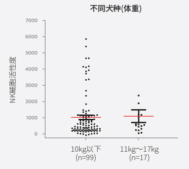 不同年龄不同犬种的NK细胞活性差异 graph2