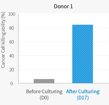 Donor 1 Comparison of Cancer Cell killing ability before & after Culturing graph