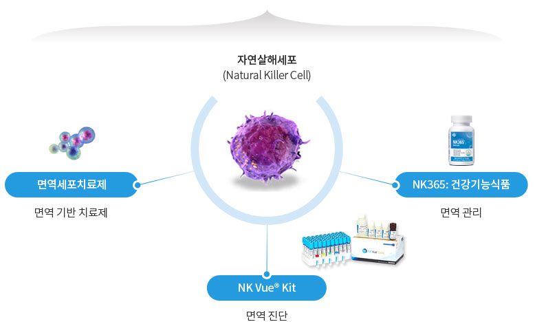 개요도